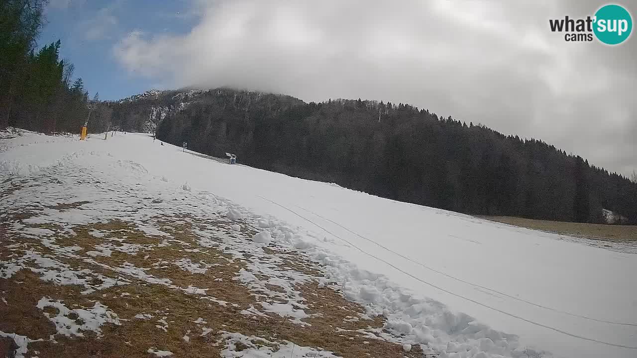 RTC Skigebiet Kranjska Gora | Brsnina