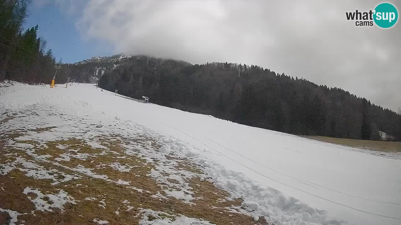 Esquí Kranjska Gora | Brsnina