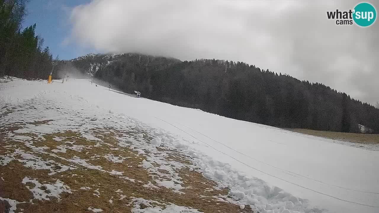 Ski Kranjska Gora | Brsnina
