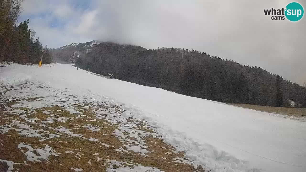 Esquí Kranjska Gora | Brsnina