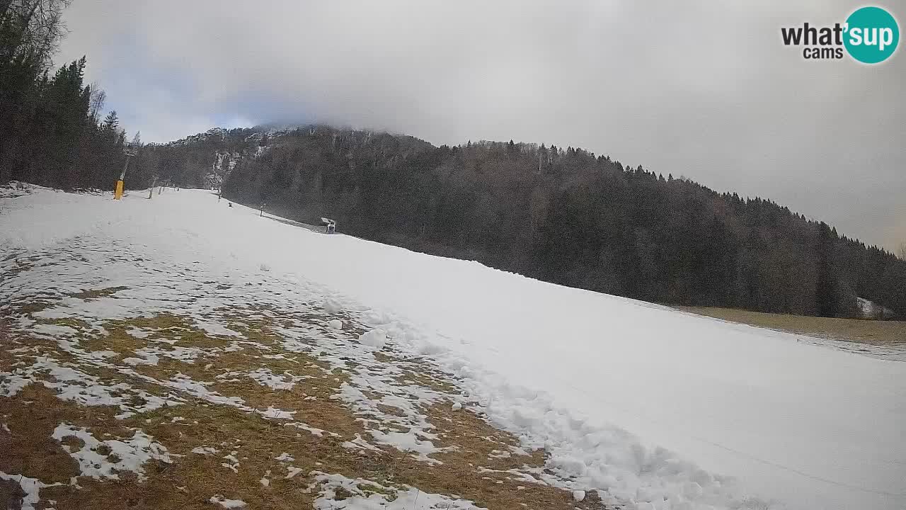 RTC Skigebiet Kranjska Gora | Brsnina