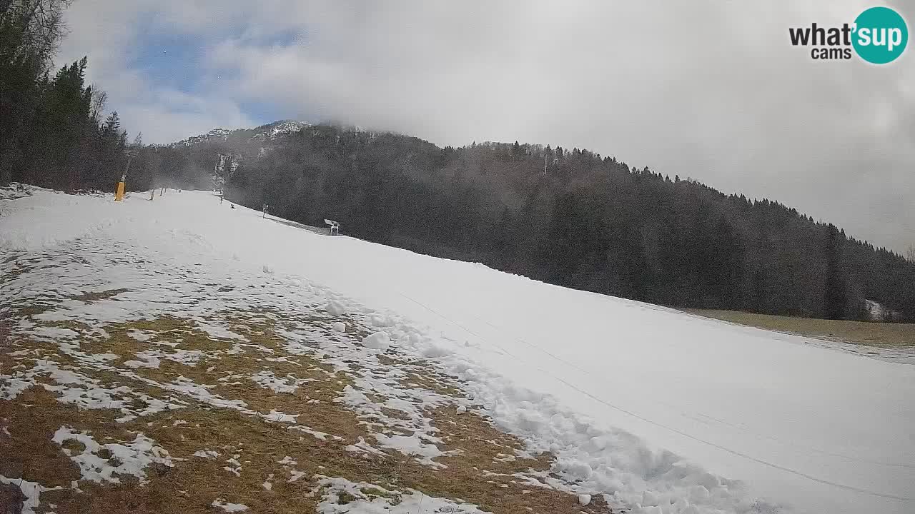 RTC Skigebiet Kranjska Gora | Brsnina