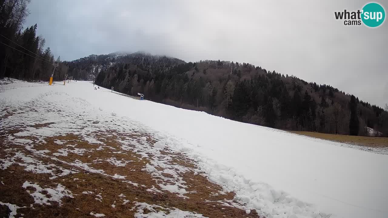 RTC Skigebiet Kranjska Gora | Brsnina