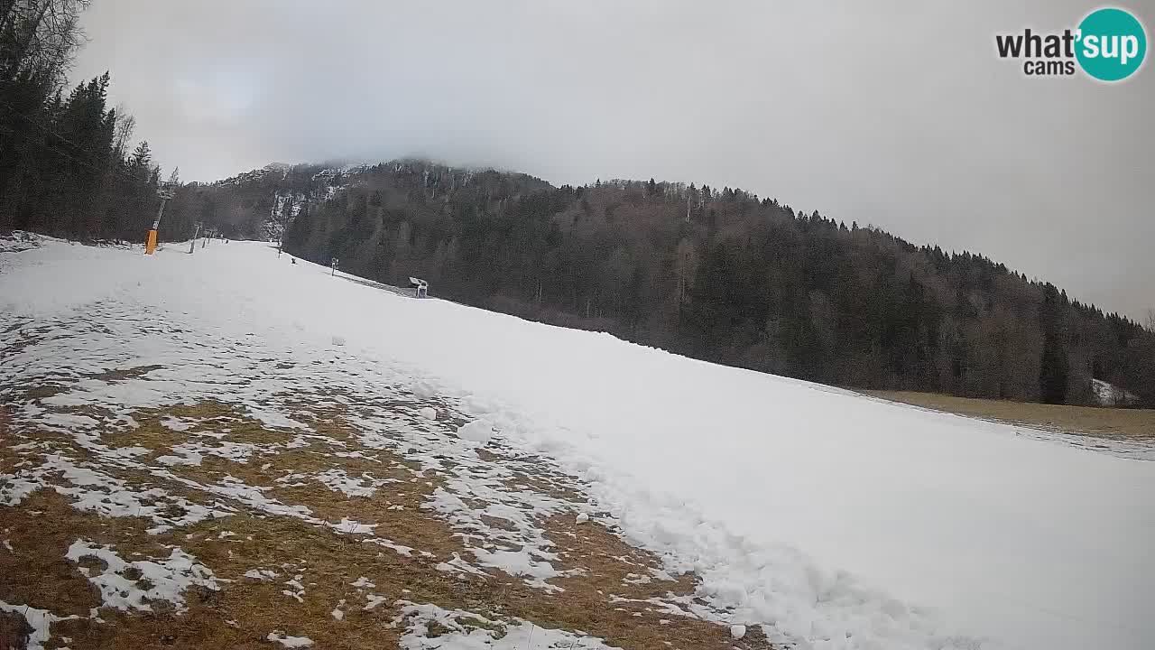 RTC Skigebiet Kranjska Gora | Brsnina