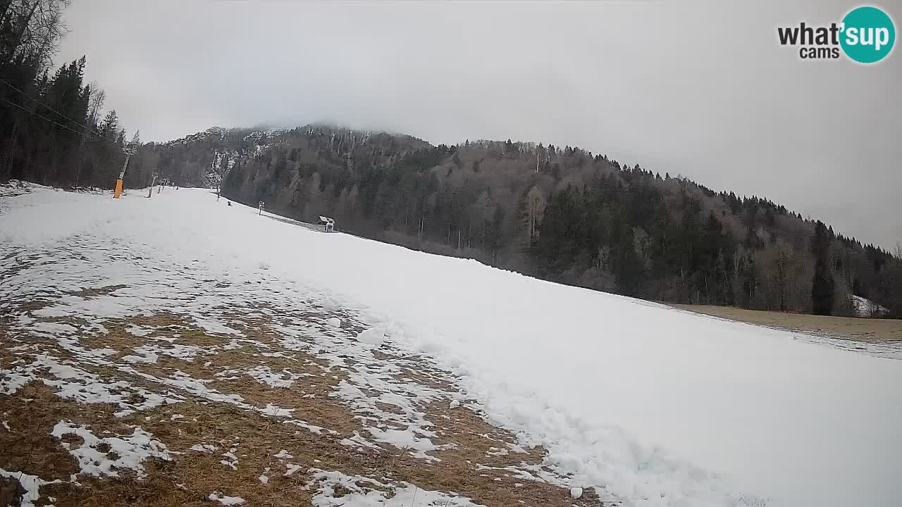 Esquí Kranjska Gora | Brsnina