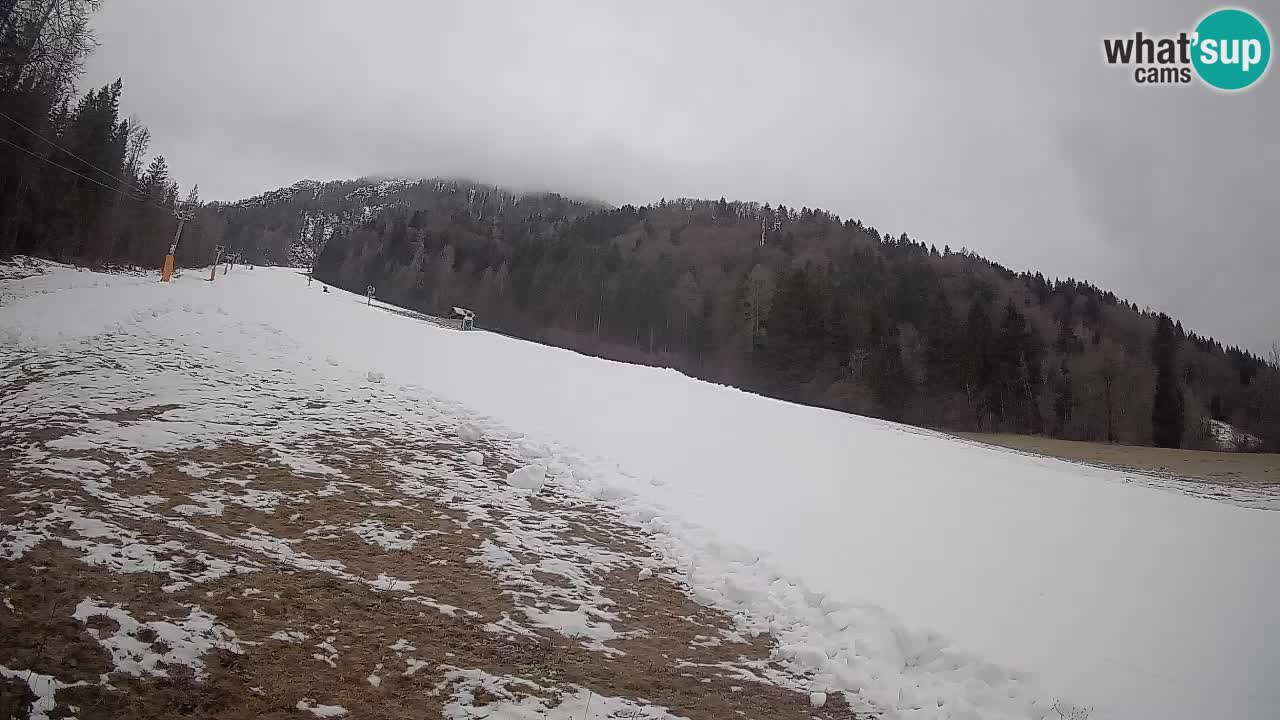 Esquí Kranjska Gora | Brsnina