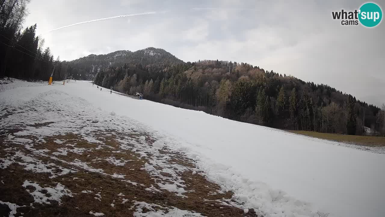 RTC Kranjska Gora | Brsnina