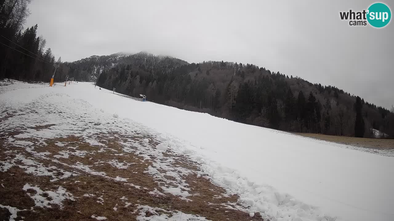 RTC Kranjska Gora | Brsnina