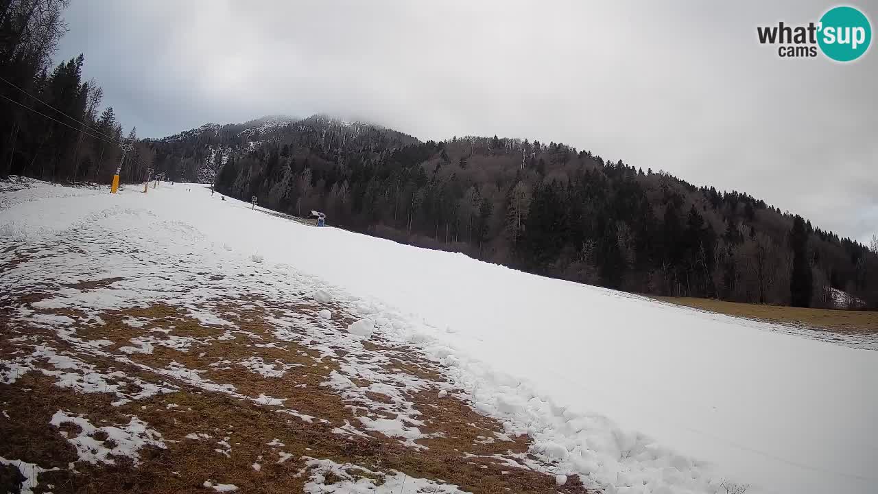 RTC Skigebiet Kranjska Gora | Brsnina