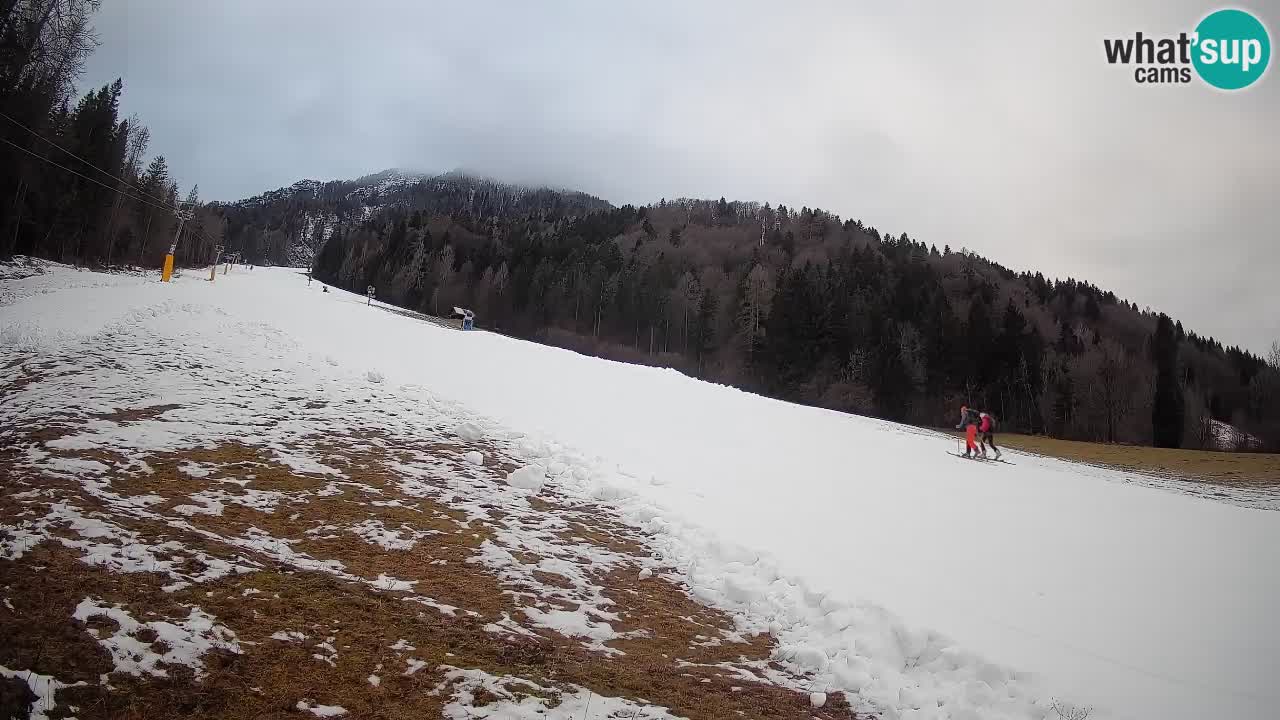 Kranjska Gora SKIJANJE | Brsnina