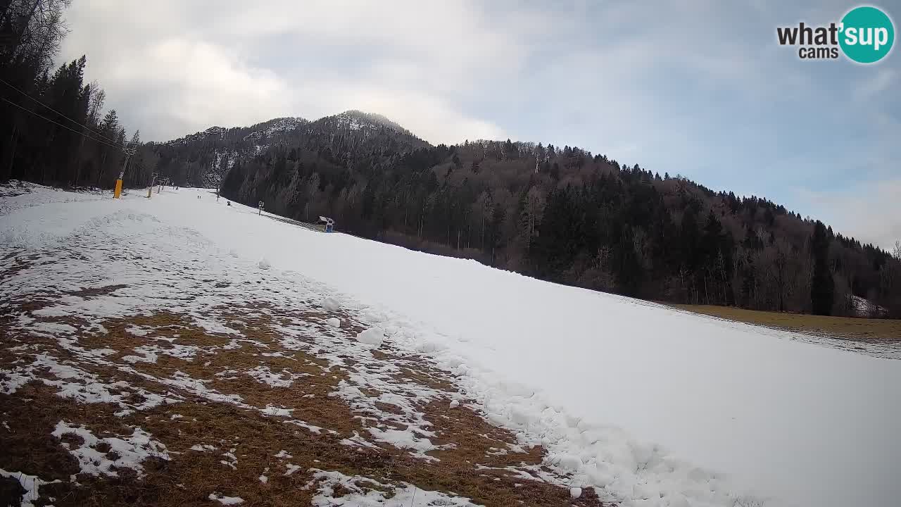 Esquí Kranjska Gora | Brsnina