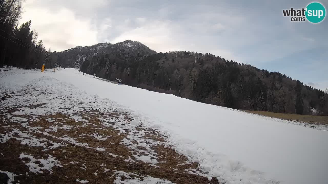 Ski Kranjska Gora | Brsnina