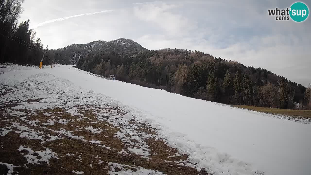 Ski Kranjska Gora | Brsnina