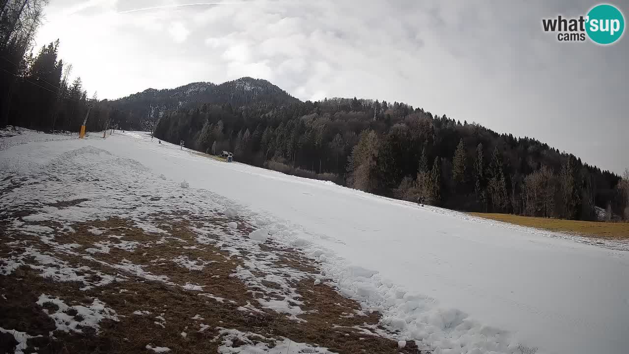 Ski Kranjska Gora | Brsnina