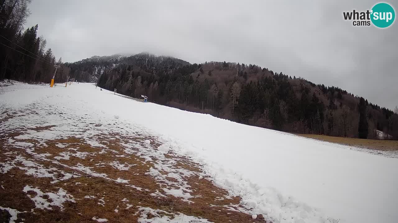 Ski Kranjska Gora | Brsnina