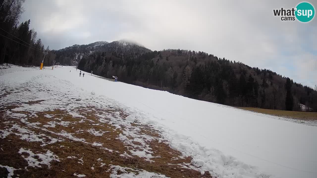 Kranjska Gora Station de ski | Brsnina