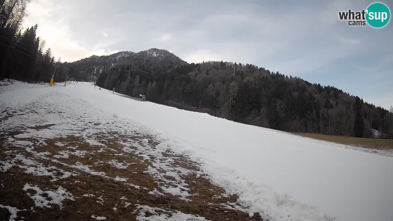 Ski Kranjska Gora | Brsnina