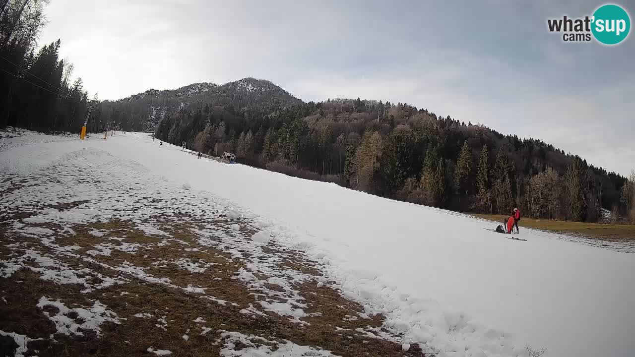 Kranjska Gora SKIJANJE | Brsnina