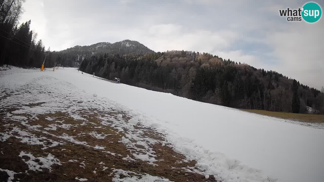 Kranjska Gora Station de ski | Brsnina