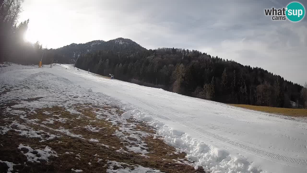 Comprensorio sciistico Kranjska Gora | Brsnina