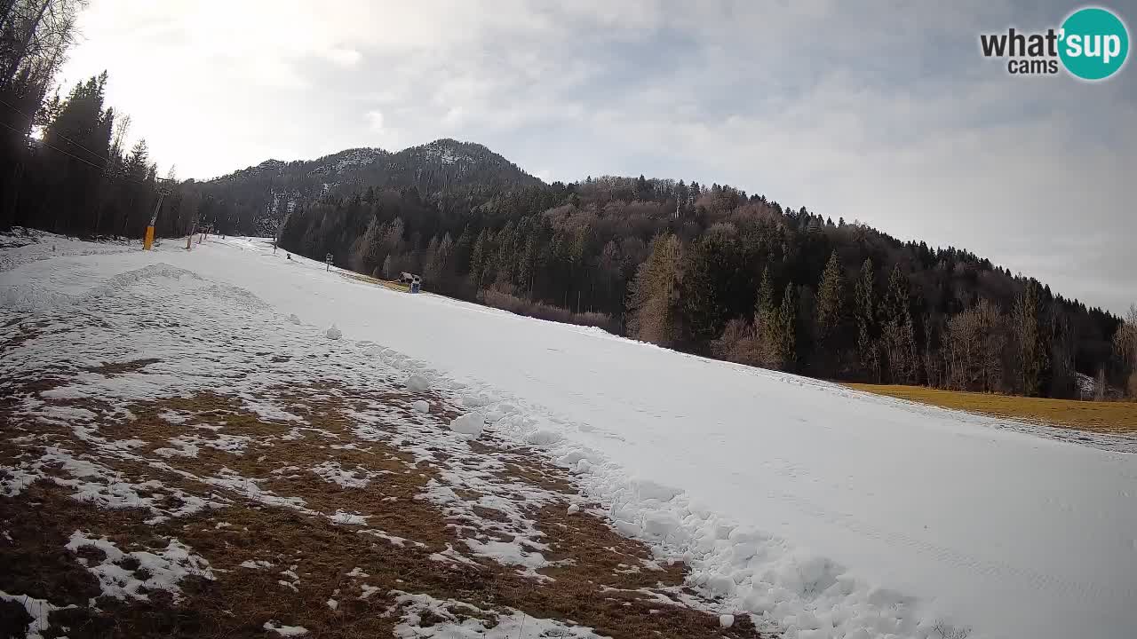 Esquí Kranjska Gora | Brsnina