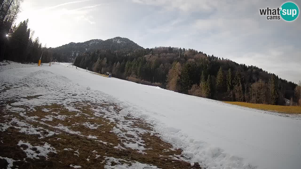RTC Kranjska Gora | Brsnina
