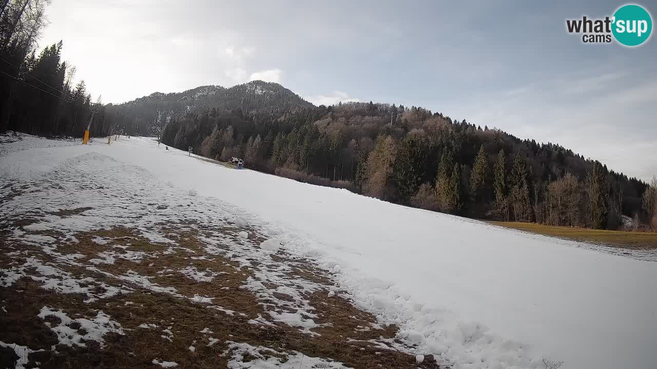 RTC Kranjska Gora | Brsnina
