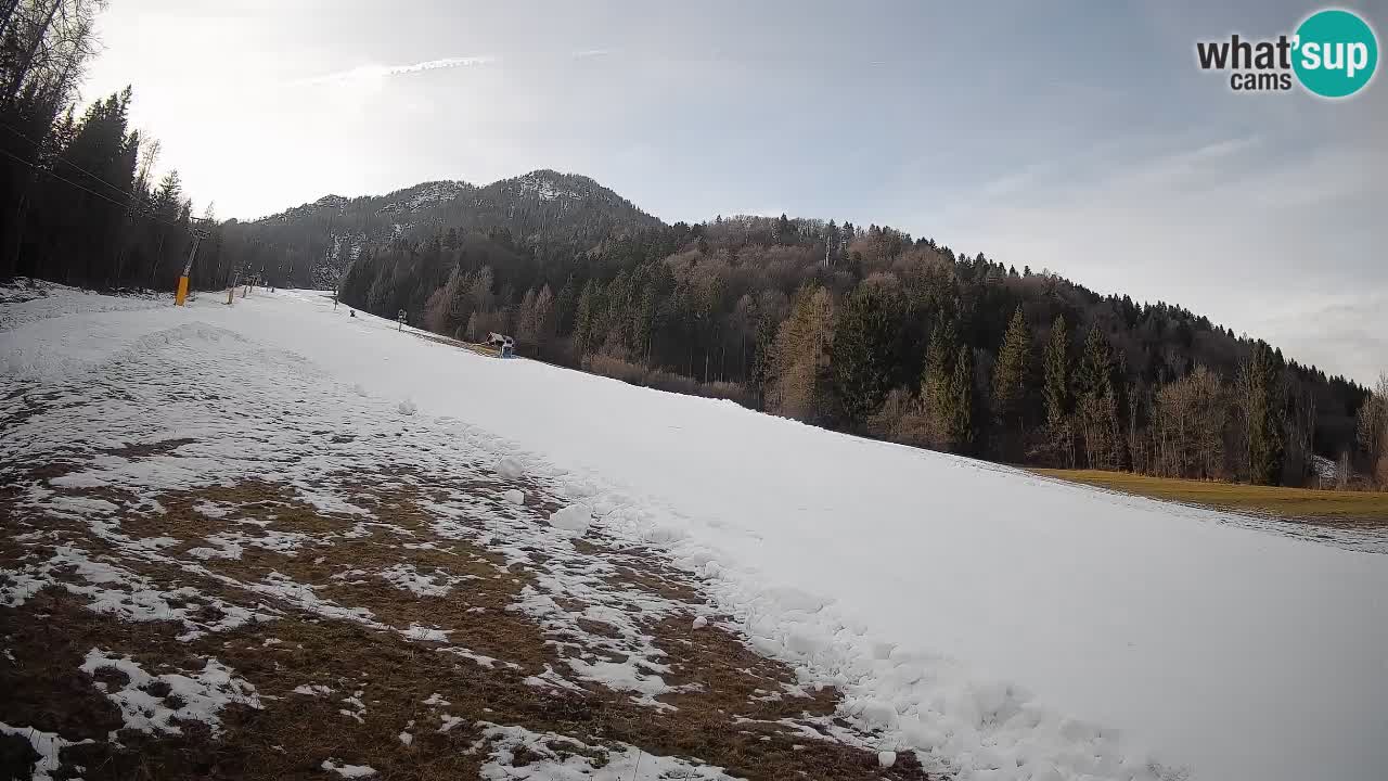 RTC Kranjska Gora | Brsnina