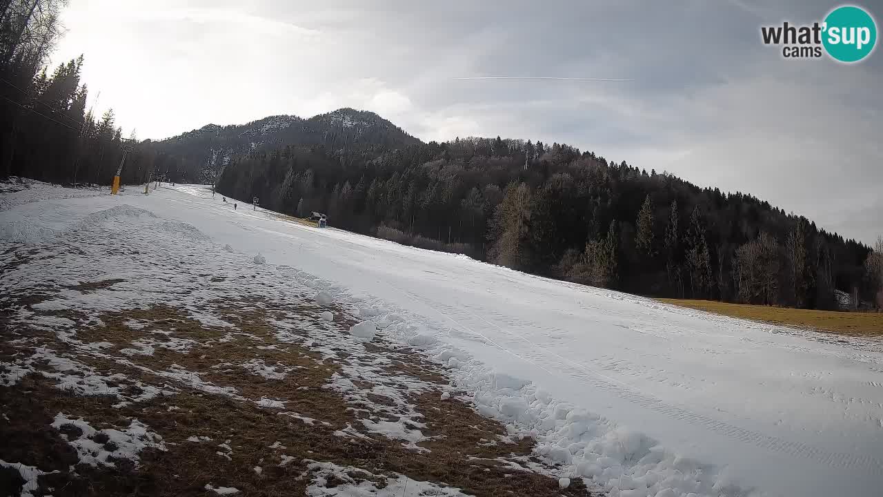 Ski Kranjska Gora | Brsnina