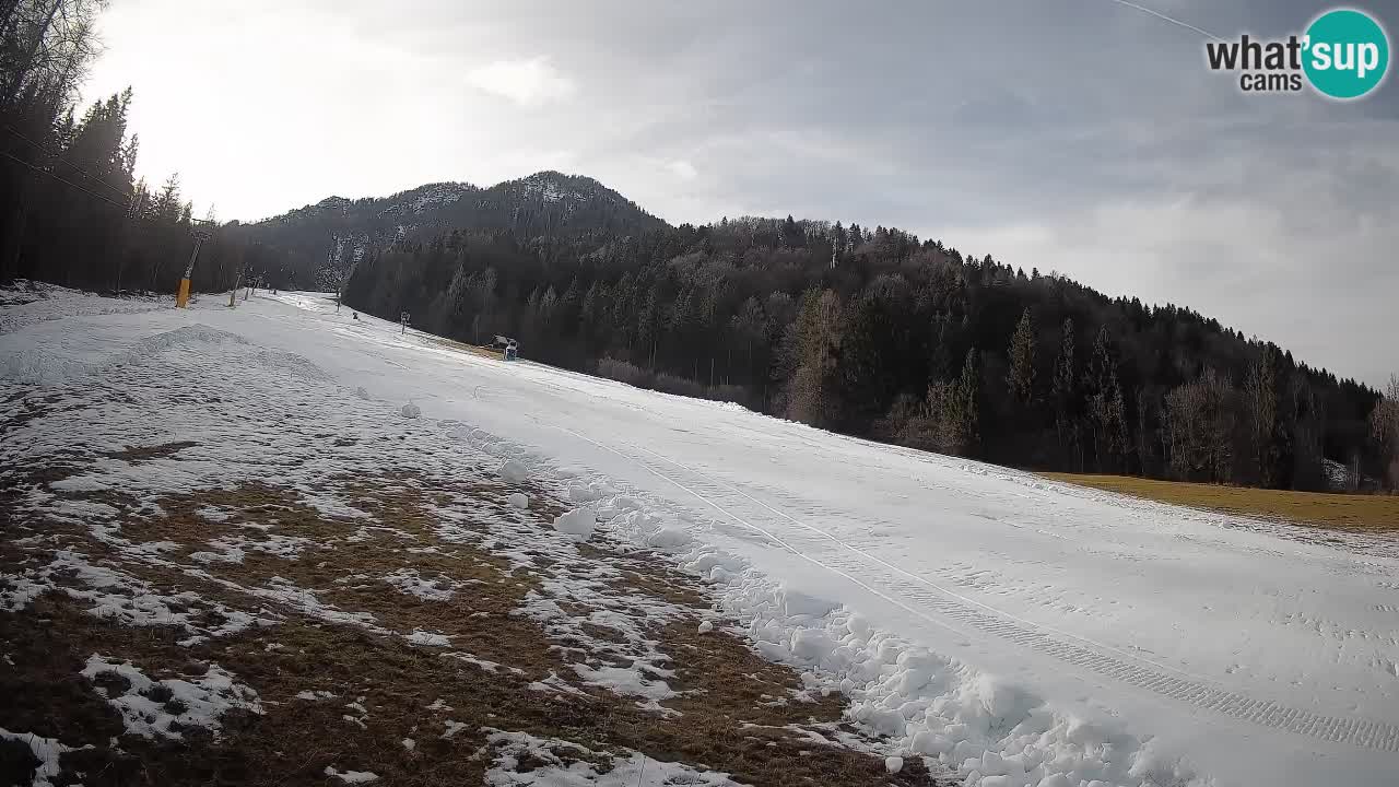 Kranjska Gora SKIJANJE | Brsnina