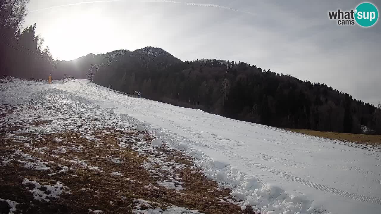 RTC Skigebiet Kranjska Gora | Brsnina