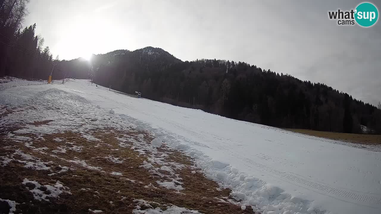 Kranjska Gora SKIJANJE | Brsnina
