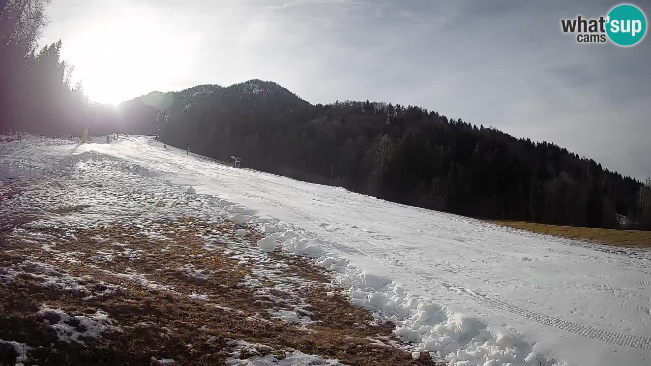 Kranjska Gora Station de ski | Brsnina