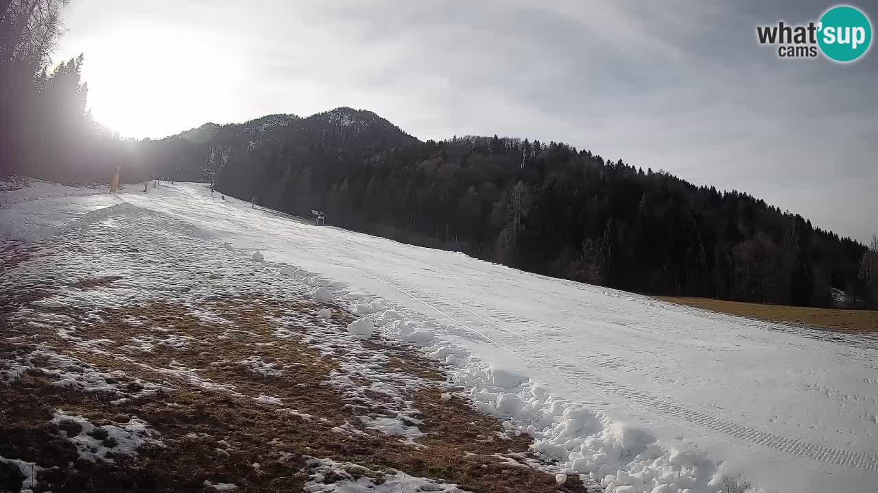 Comprensorio sciistico Kranjska Gora | Brsnina