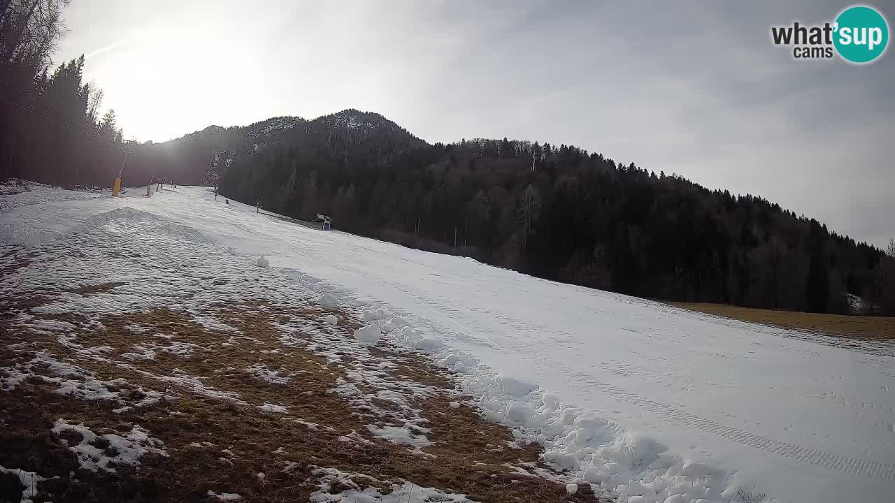 Kranjska Gora SKIJANJE | Brsnina