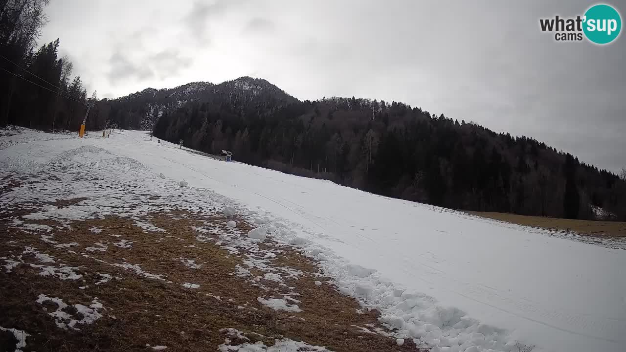 Kranjska Gora SKIJANJE | Brsnina