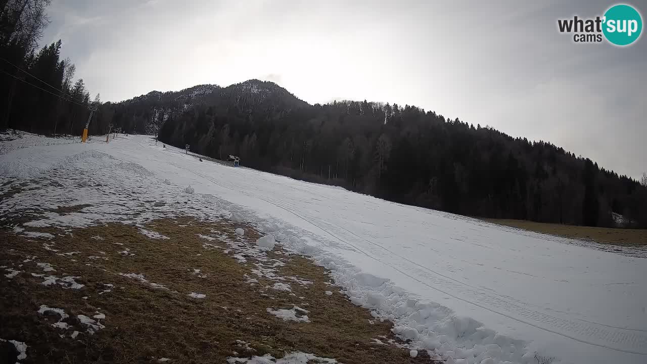 RTC Kranjska Gora | Brsnina