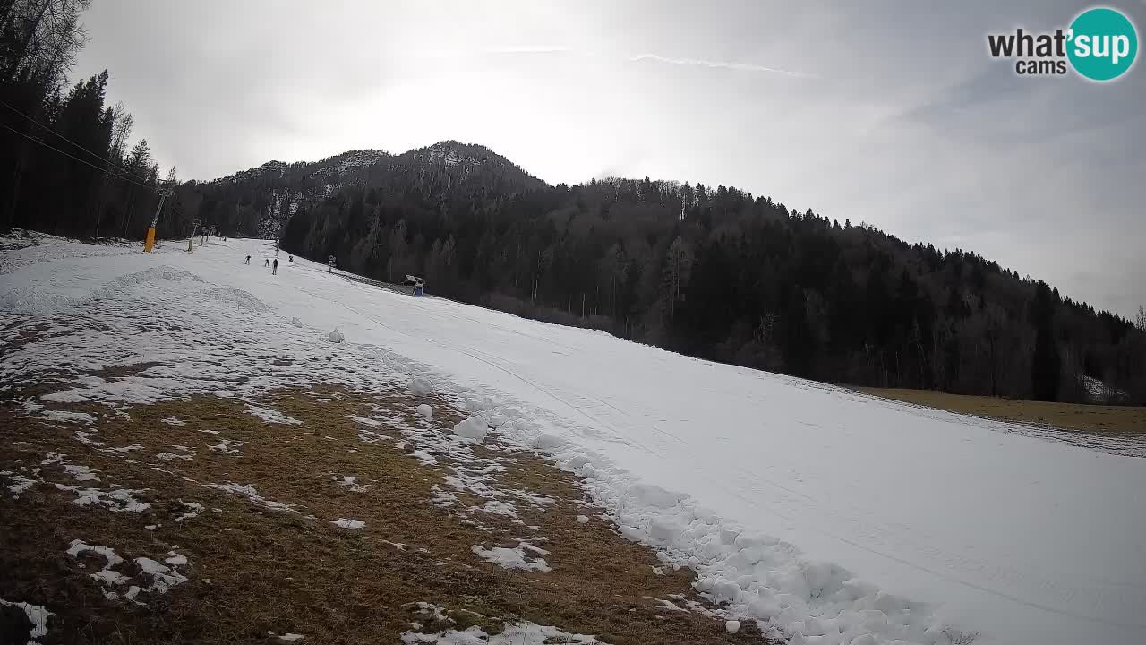 Kranjska Gora SKIJANJE | Brsnina