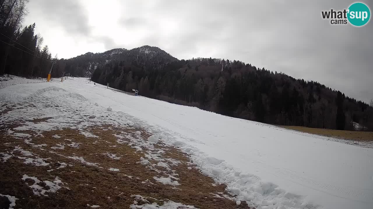 Kranjska Gora SKIJANJE | Brsnina