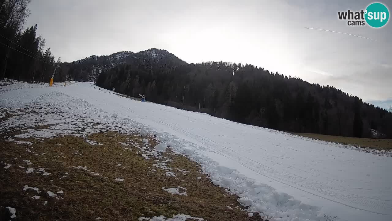 RTC Kranjska Gora | Brsnina