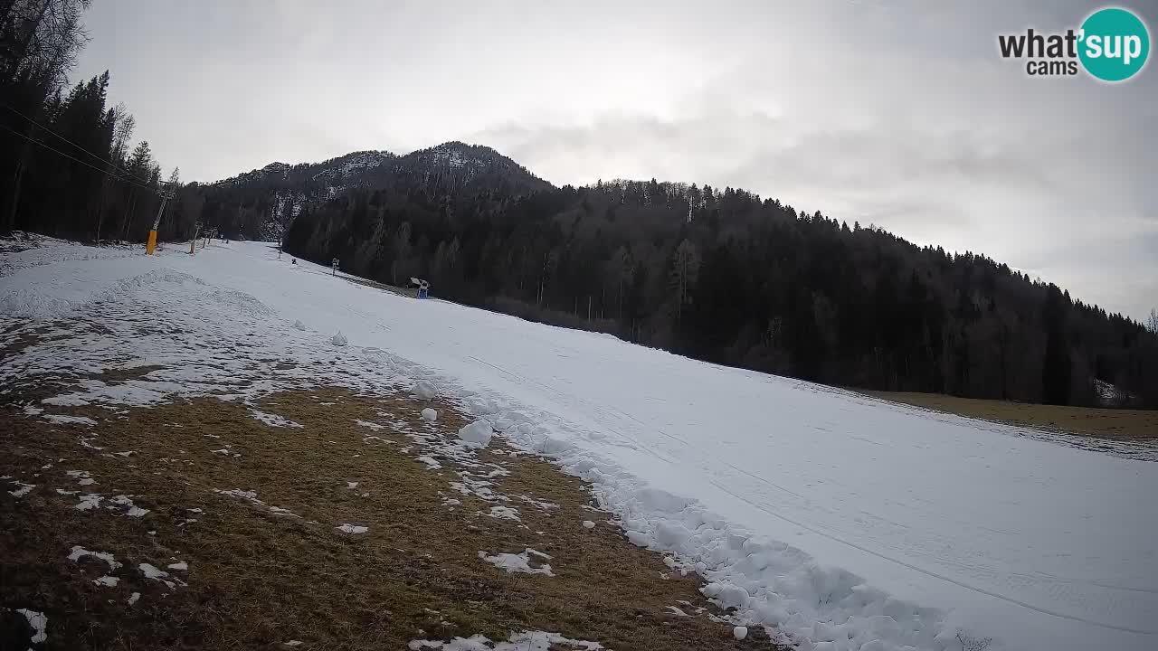 Kranjska Gora SKIJANJE | Brsnina