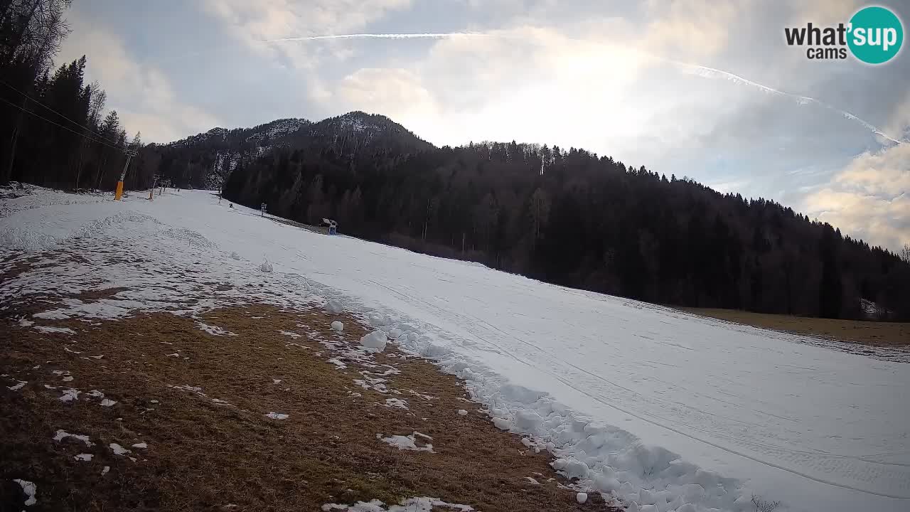 Esquí Kranjska Gora | Brsnina
