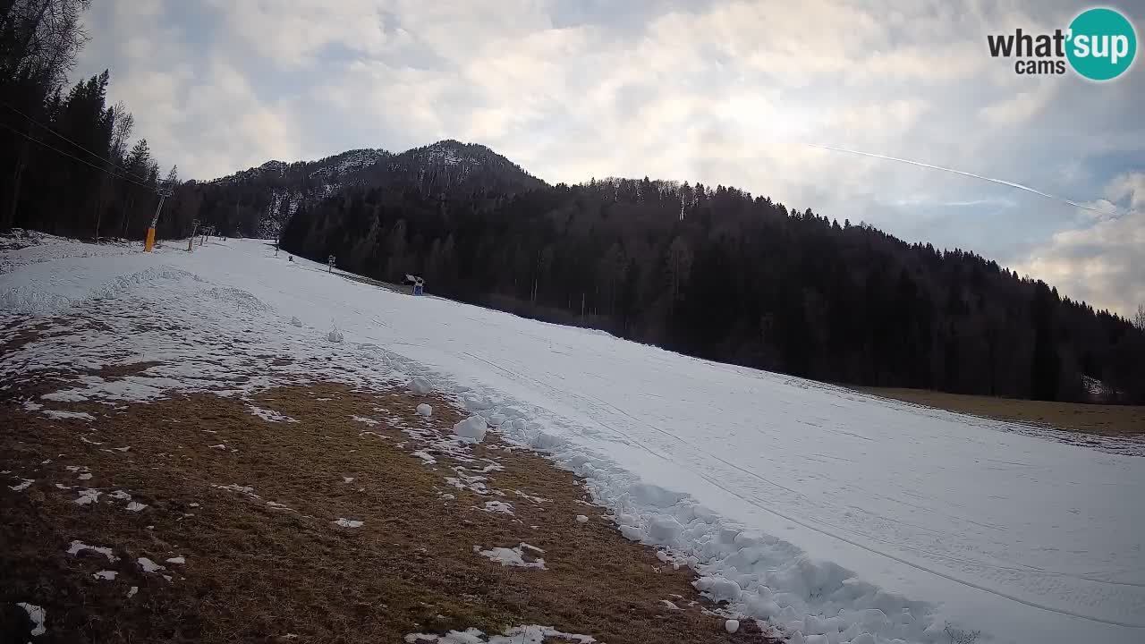 Kranjska Gora Station de ski | Brsnina