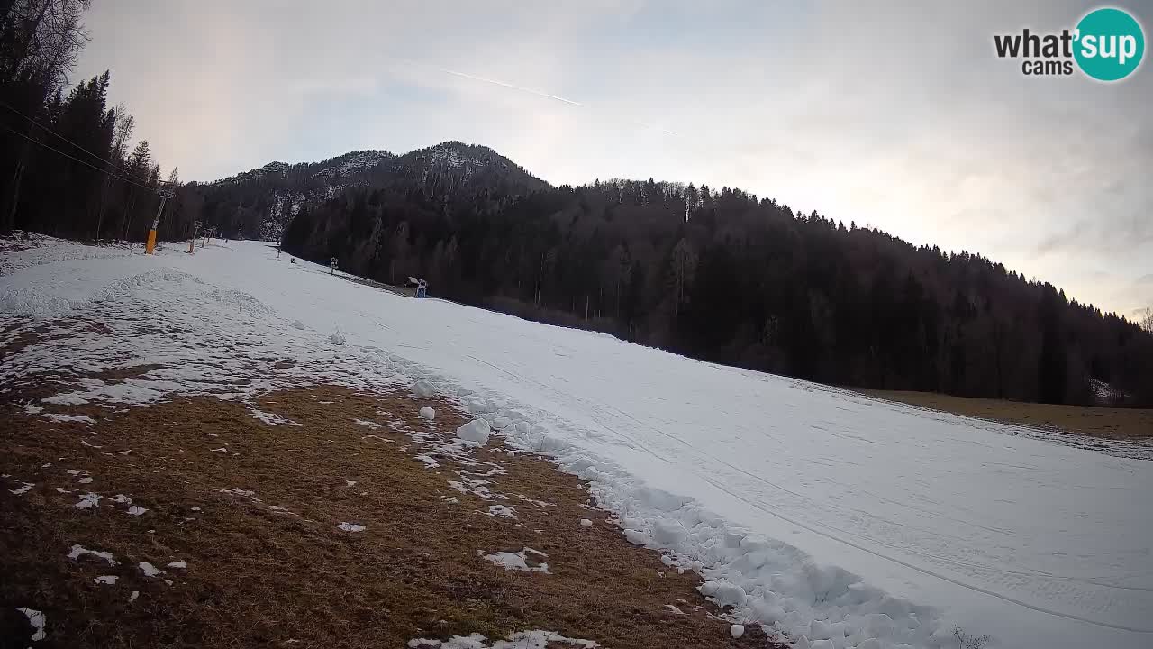 Kranjska Gora SKIJANJE | Brsnina