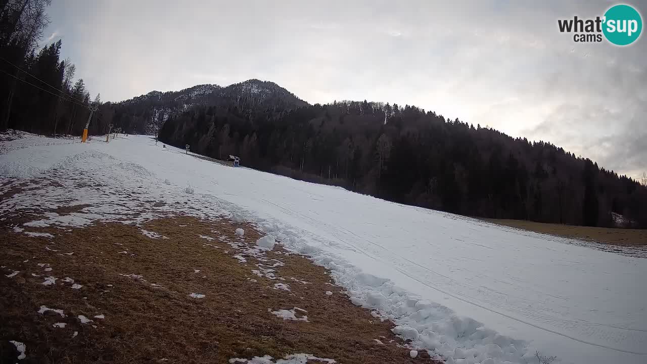 Comprensorio sciistico Kranjska Gora | Brsnina