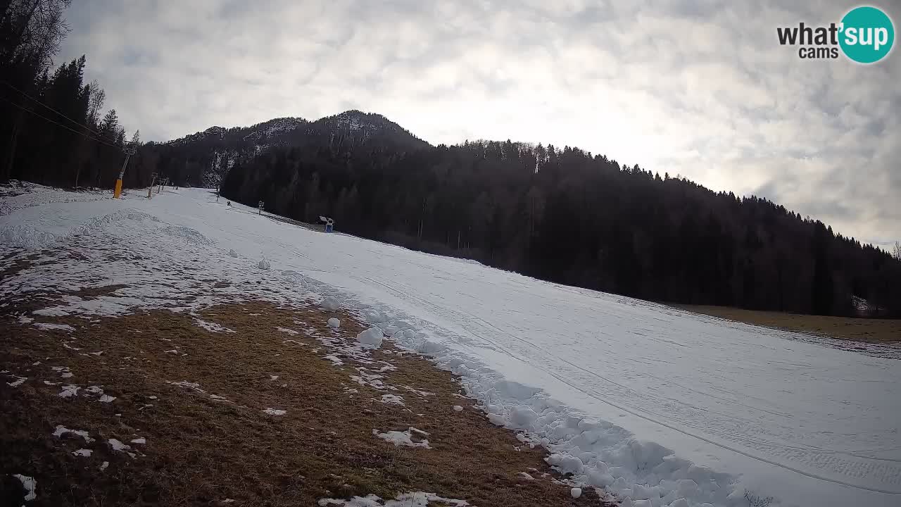 RTC Skigebiet Kranjska Gora | Brsnina