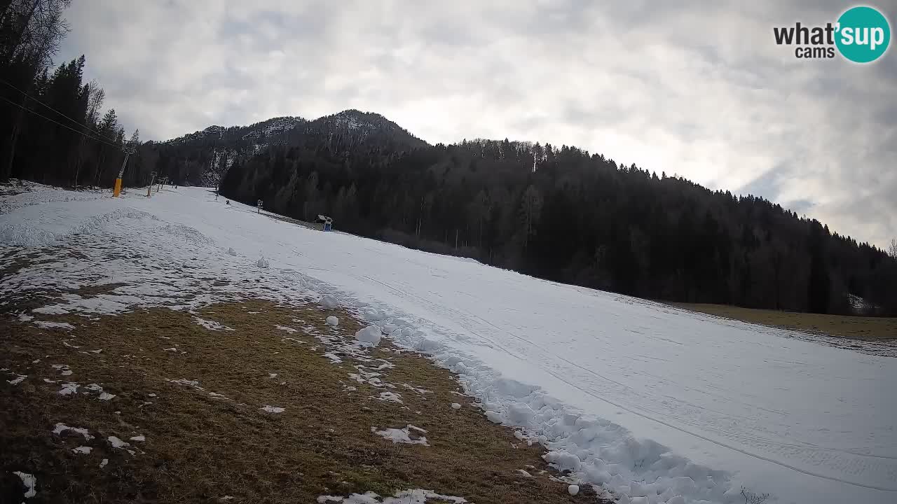 RTC Skigebiet Kranjska Gora | Brsnina