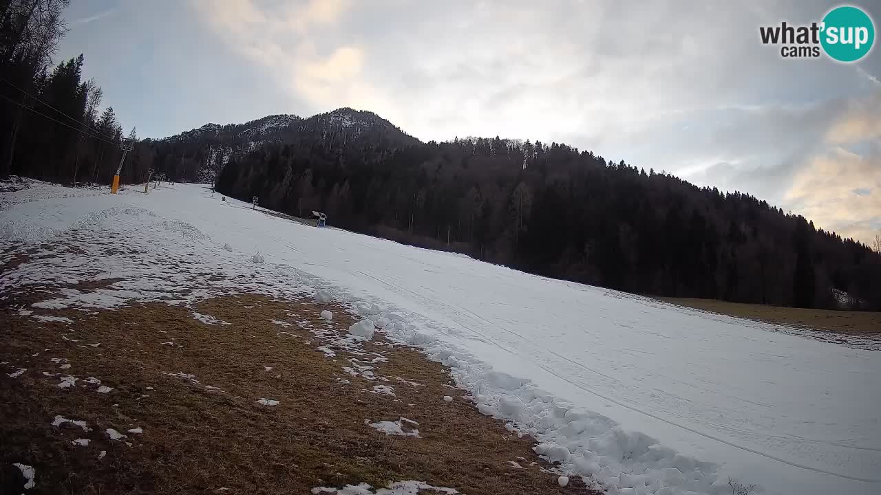 Esquí Kranjska Gora | Brsnina