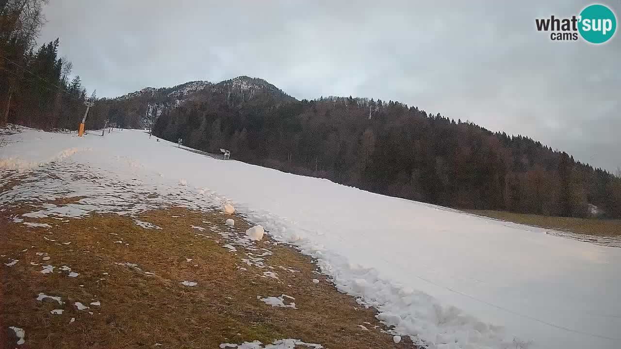 Ski Kranjska Gora | Brsnina