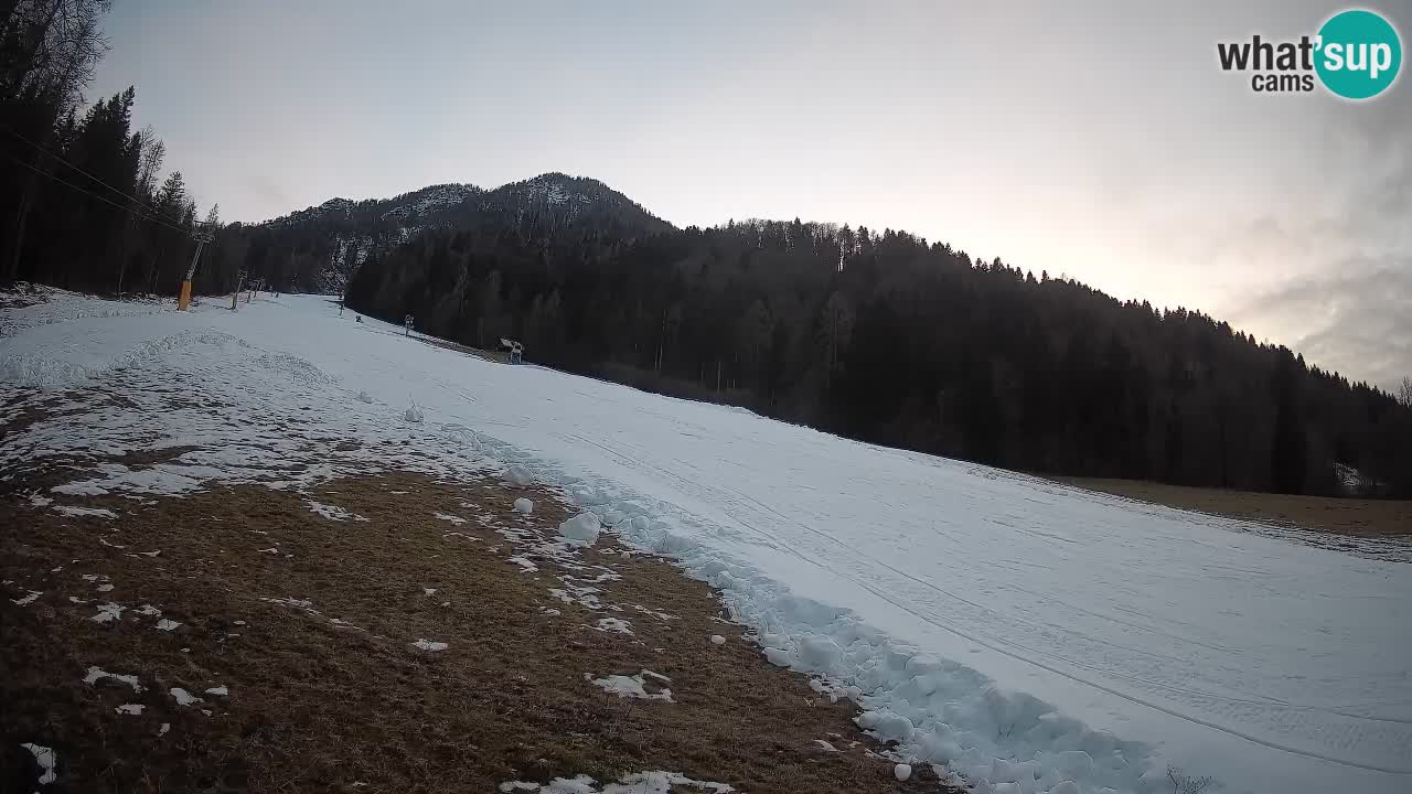 Comprensorio sciistico Kranjska Gora | Brsnina